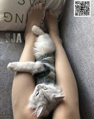 日韩精品精品不卡禁处图_BD韩语神马影院手机在线
